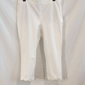 Talbots | Chatham Crop Scalloped Hem Flat Front Side Zip | 8P